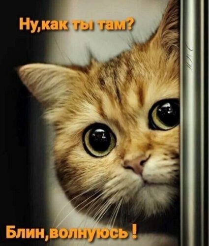 Открытка