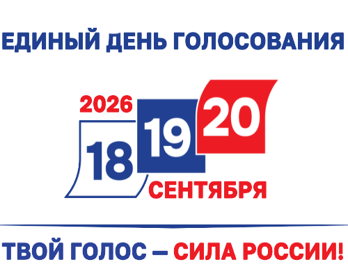 Выборы